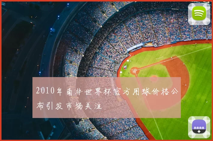 2010年南非世界杯官方用球价格公布引发市场关注
