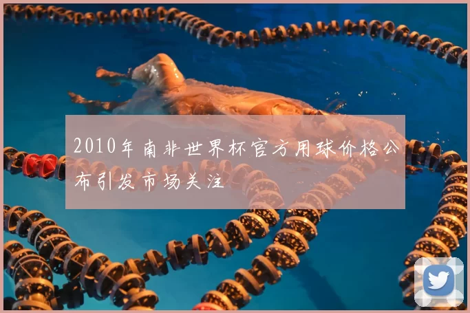 2010年南非世界杯官方用球价格公布引发市场关注