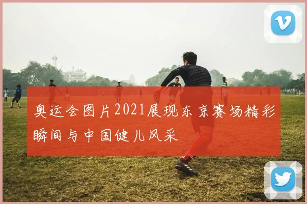 奥运会图片2021展现东京赛场精彩瞬间与中国健儿风采